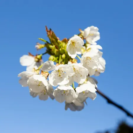 La Higuera * Villarejo del Valle
