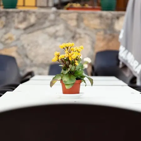 Prázdninový dům La Higuera