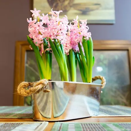 La Higuera * Villarejo del Valle