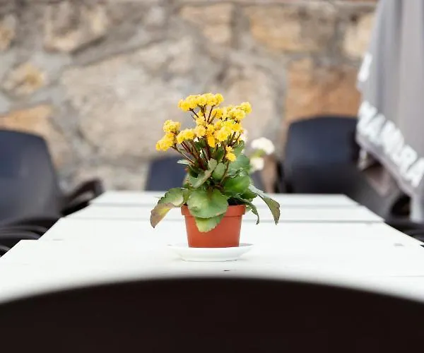 Vakantiehuis La Higuera