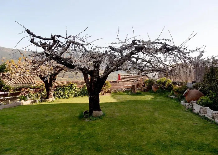 Vakantiehuis La Higuera