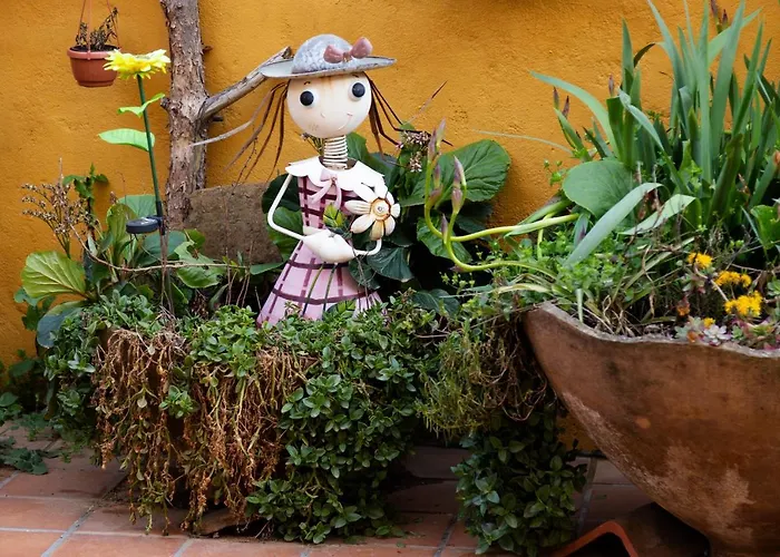 Vakantiehuis La Higuera